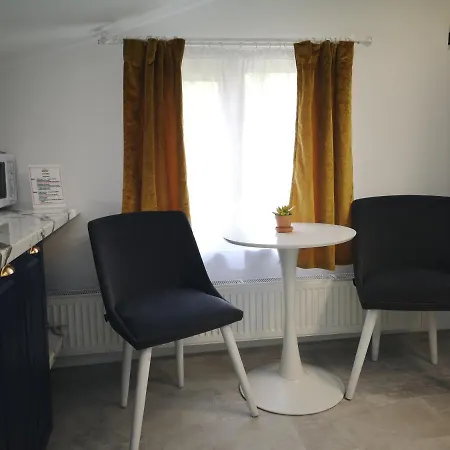 Apartment Ivy Boutique Brasov