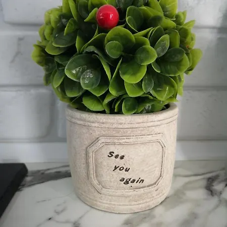 Apartment Ivy Boutique *