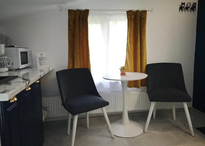 Apartment Ivy Boutique Brasov