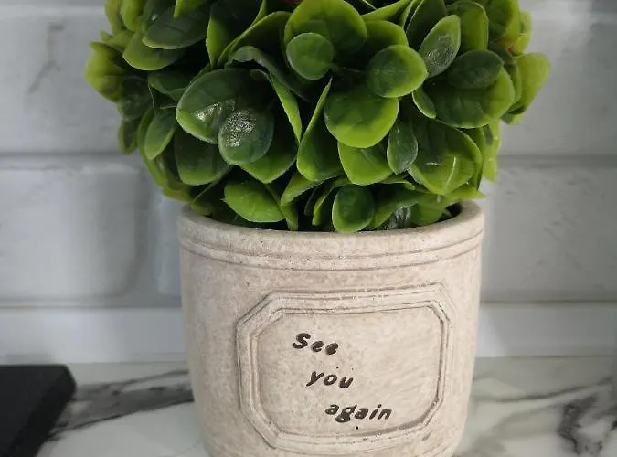 Apartment Ivy Boutique *